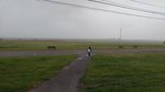20160708_200933