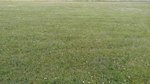 20160708_201156
