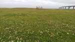 20160709_214043