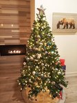 IMG_20191217_193243