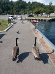 IMG_20200809_162731