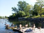 IMG_20200812_170548