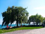 IMG_20200812_170635