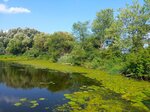 IMG_20200812_170929