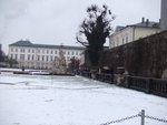 DSCF1338
