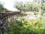 IMG_0436