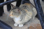 DSC00990