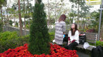 2009-2-8 (3)