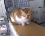 Stanley!~~~
