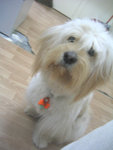 ho cutie gei Frankie