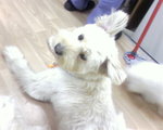 New look frankie~