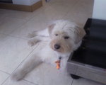 Frankie!~~~~So boring gum wor!~