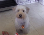 Frankie ^^
