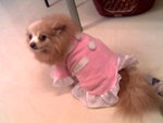 pretty Gigi