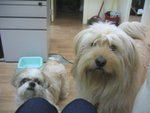 Ar B and Frankie~