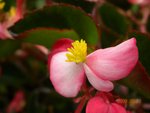 林芝_0138