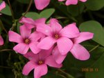 林芝_0139