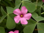 林芝_0140