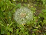 林芝_0142