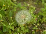 林芝_0143