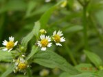 林芝_0148