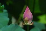 DSC_1954