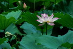 DSC_1961