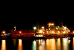 DSC_2234a
