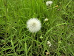 DSCN2424