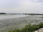 DSCN2429