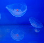 旭川動物園 - 0037