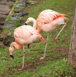 旭川動物園 - 0038