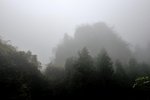 DSC_8025 - ??