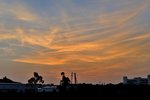 DSC_3777