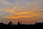 DSC_3778