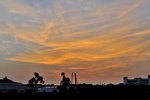 DSC_3779 - ??