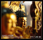 Re_MG_3928