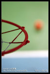 Re_MG_4307