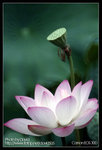 Re_MG_2481