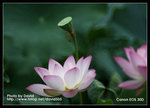 Resize_MG_2481