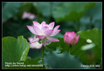 Resize_MG_2525