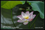 Resize_MG_2562