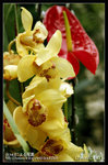 Re_MG_5727