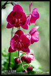 Re_MG_5765