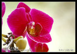 Re_MG_5849
