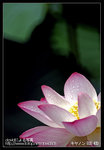Re_MG_6429