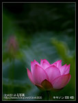 Re_MG_6438