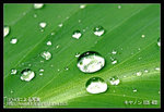 Re_MG_6464