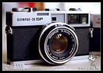 Re_MG_6653