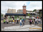 旭川旭山動物園